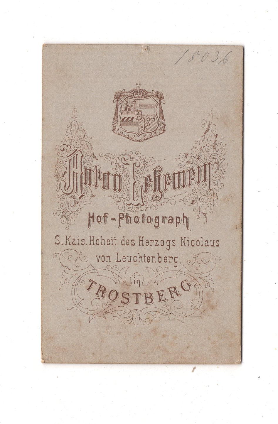 Fotografie Feine Dame - Trostberg um 1880 / CDV L1-25