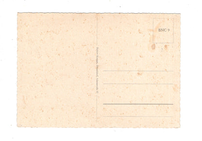 Ansichtskarte Bonn am Rhein / Bundeshaus +++ / M1-64