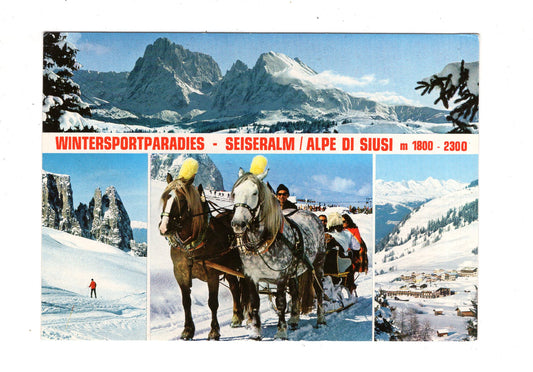 Ansichtskarte Seiseralm / Schlerngebiet / Dolomiten / Italien