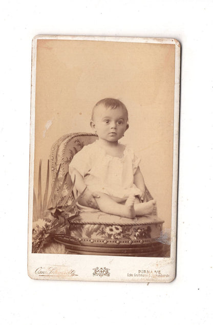 Fotografie Schönes Kinderbild / Baby - Pirna um 1890 / CDV N1-10