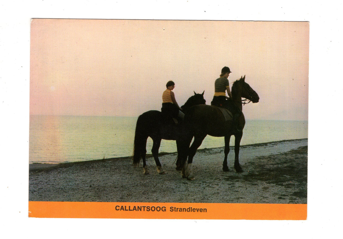 Ansichtskarte Callantsoog / Niederlande / M1-69