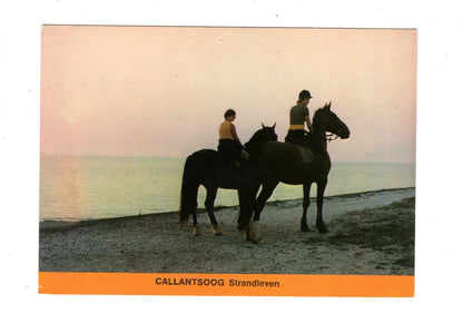 Ansichtskarte Callantsoog / Niederlande / M1-69