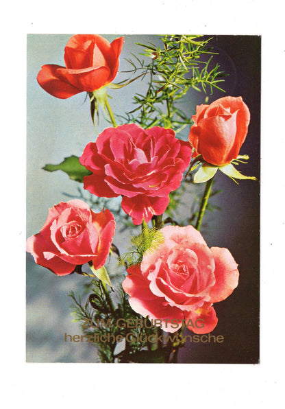 Ansichtskarte Glückwünsche / Glückwunsch zum Geburtstag / L1-57