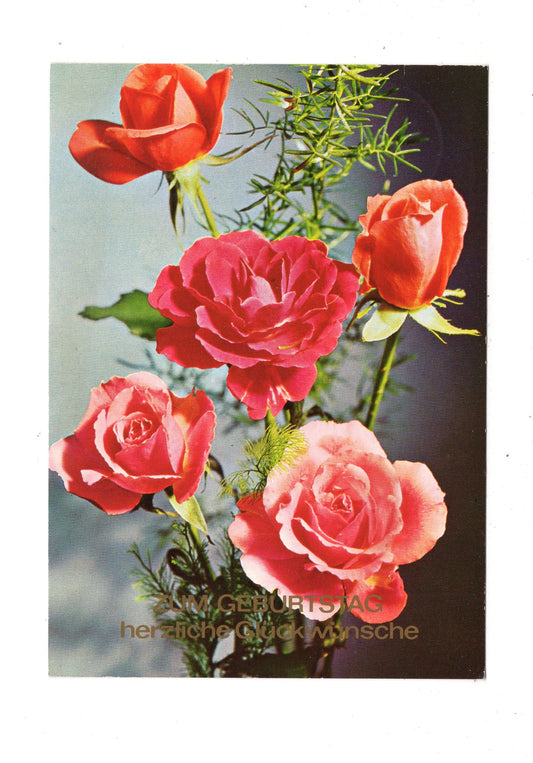 Ansichtskarte Glückwünsche / Glückwunsch zum Geburtstag / L1-57