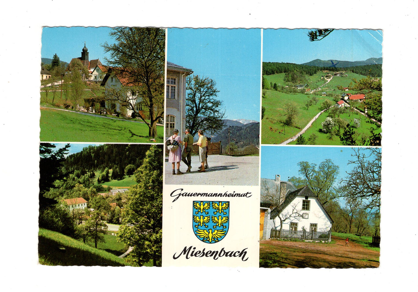 Ansichtskarte Miesenbach / Niederösterreich / Österreich