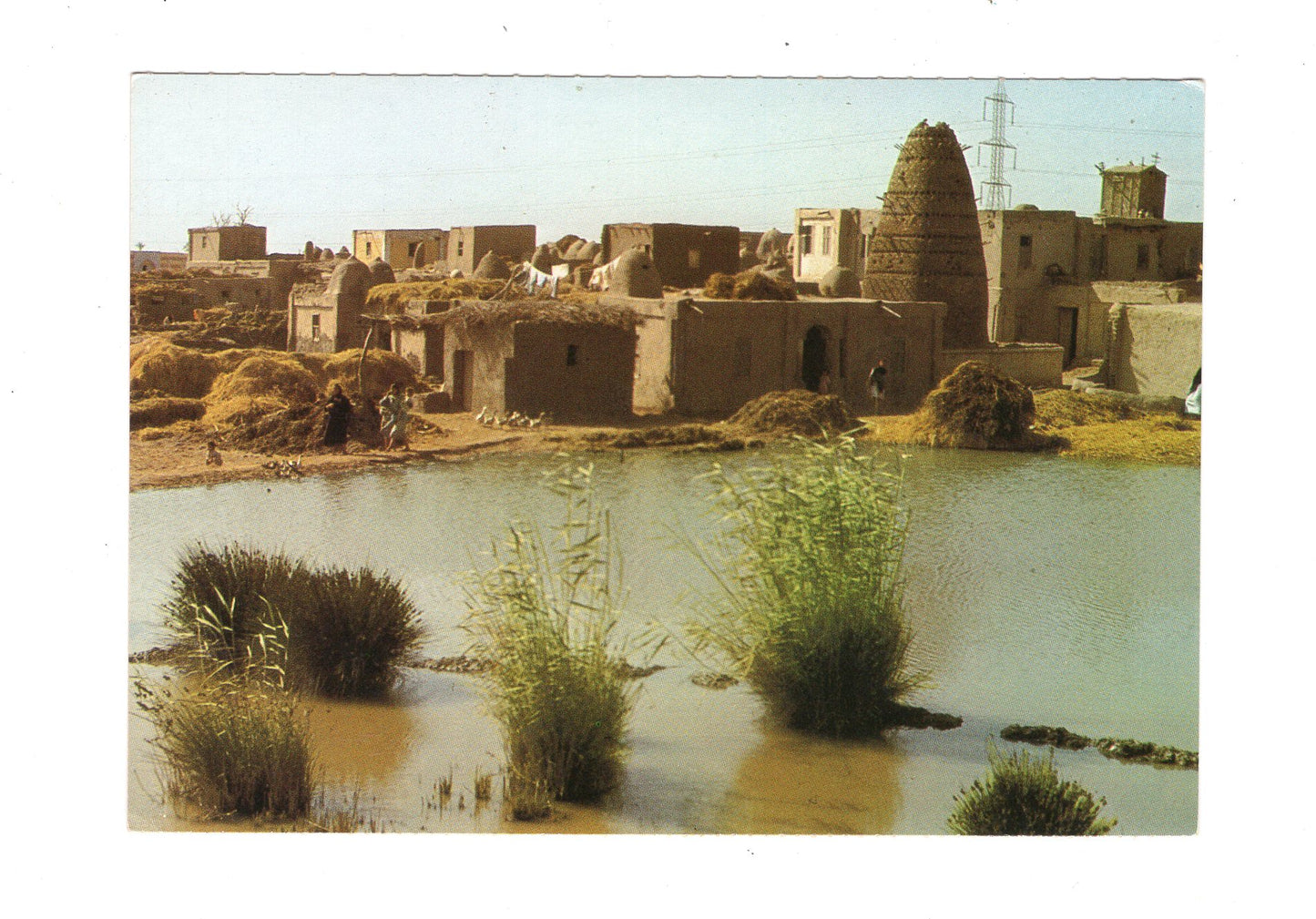 Ansichtskarte Nil-Delta / Ägypten