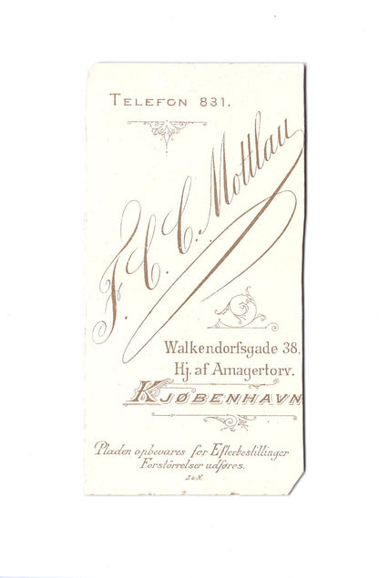 Fotografie Damenportrait - Kopenhagen 1890er