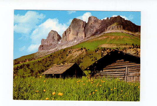 Ansichtskarte Dolomiten / Rosengarten / Südtirol / Italien