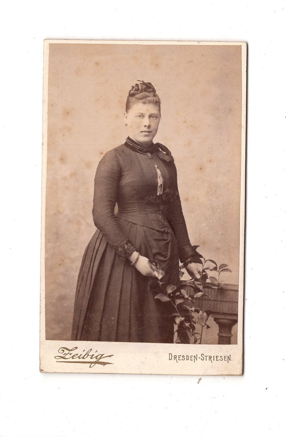 Fotografie Feine Dame - Dresden-Striesen 1890er / CDV L1-25