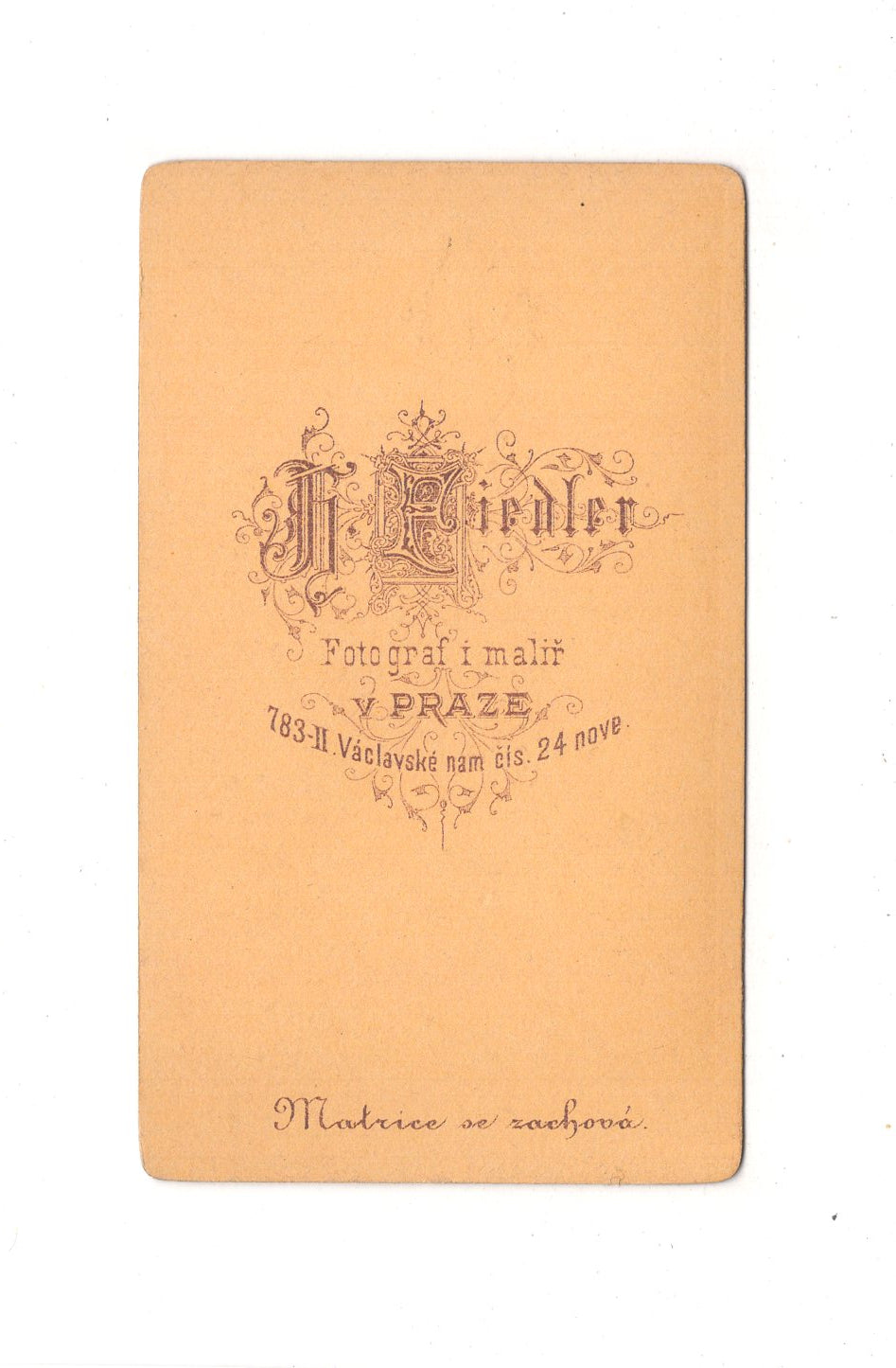 Fotografie Damenportrait - Prag 1870er / CDV C1-04