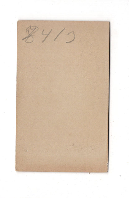 Fotografie Feines junges Mädchen - Plauen im Vogtland 1890er / CDV L1-25