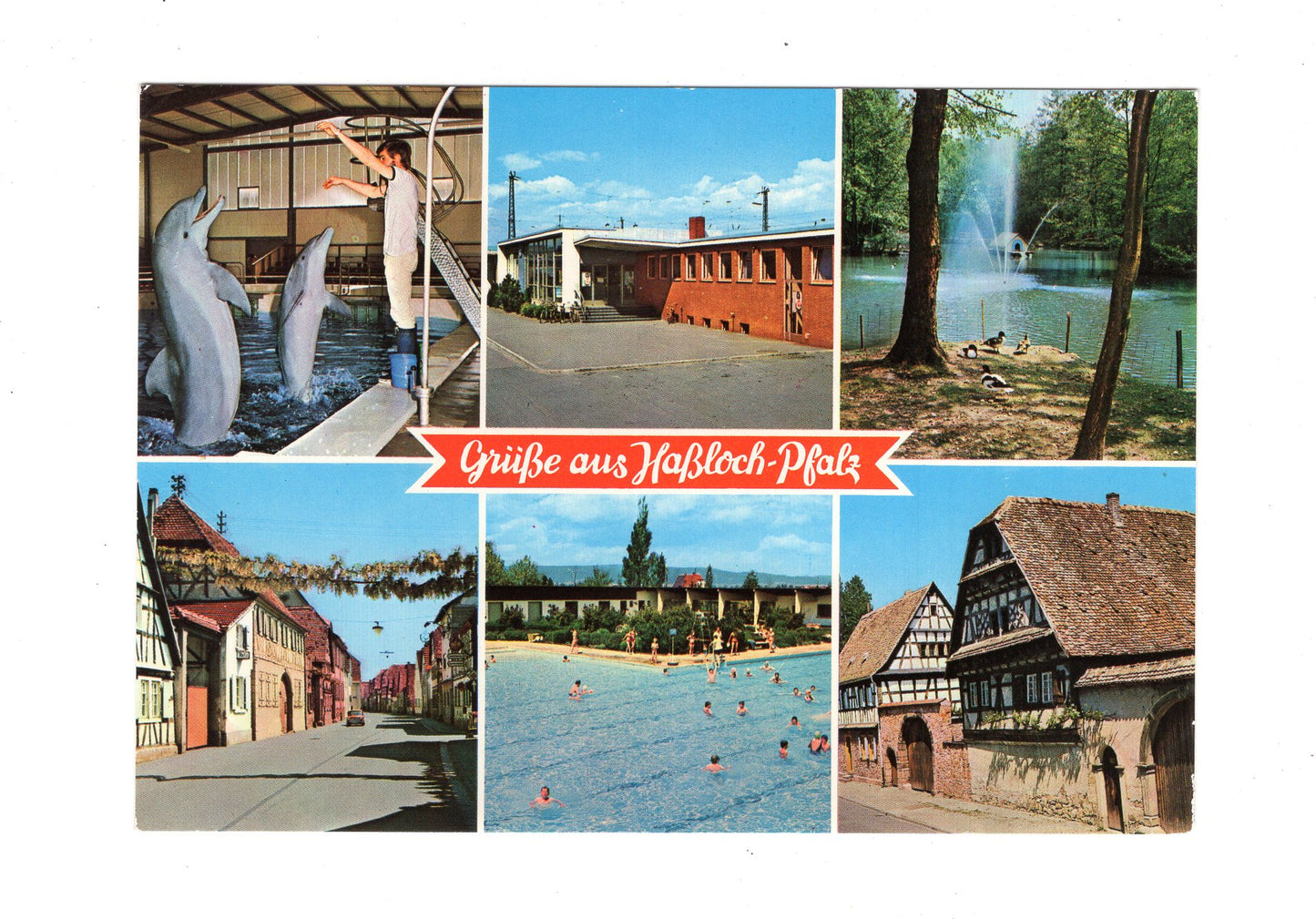 Ansichtskarte Haßloch / Pfalz