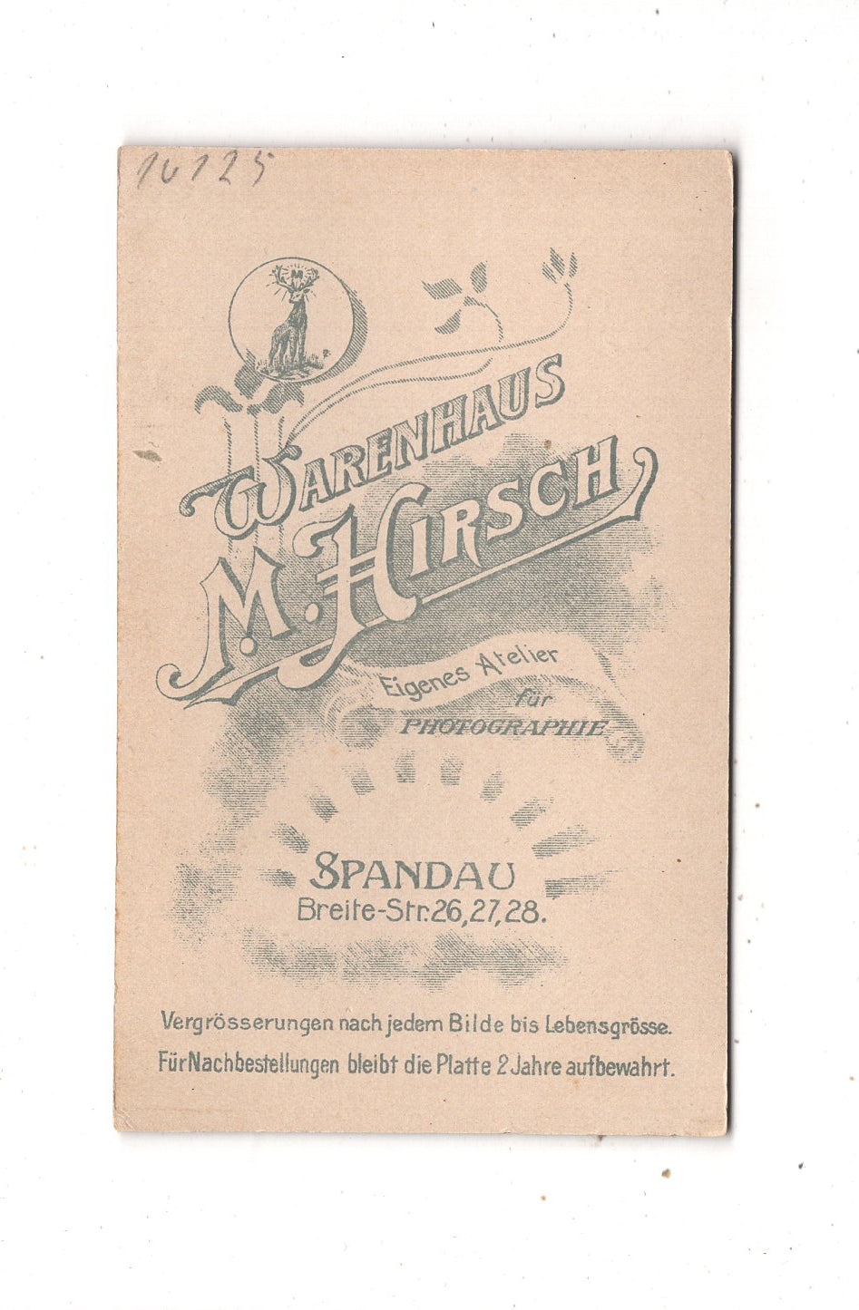 Fotografie Feine Dame - Berlin-Spandau 1890er