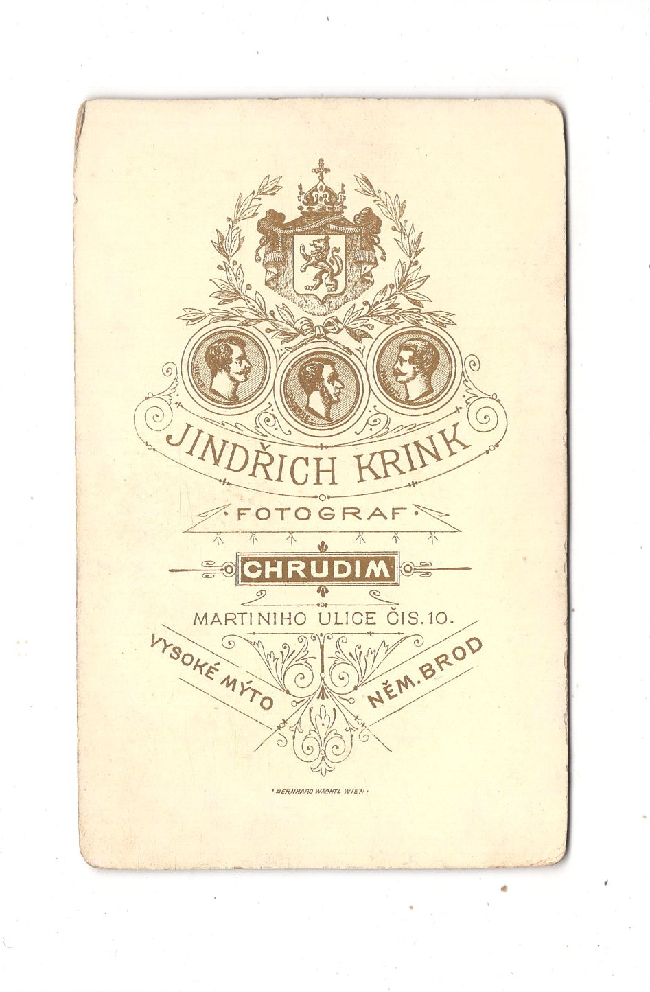 Fotografie Damenportrait - Chrudim 1880er / CDV N1-14