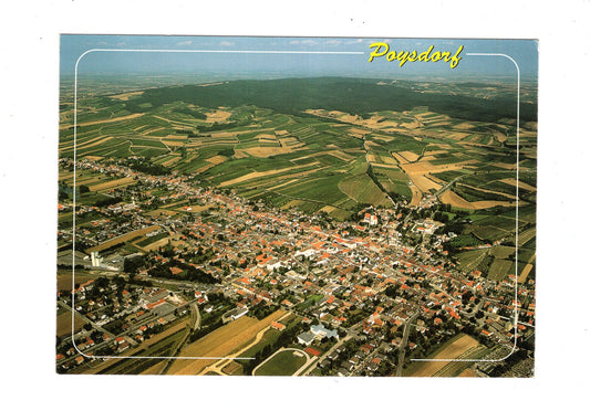 Ansichtskarte Poysdorf im Weinviertel / Niederösterreich / Österreich