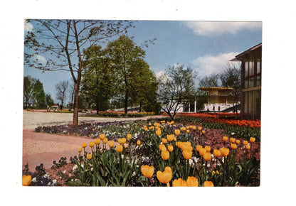 Ansichtskarte Bundesgartenschau Köln 1957 / Am Tropengarten / I1-68
