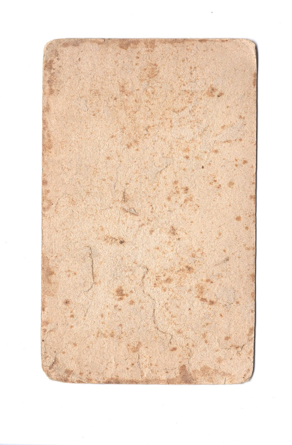 Fotografie Damenportrait - Wien 1890er