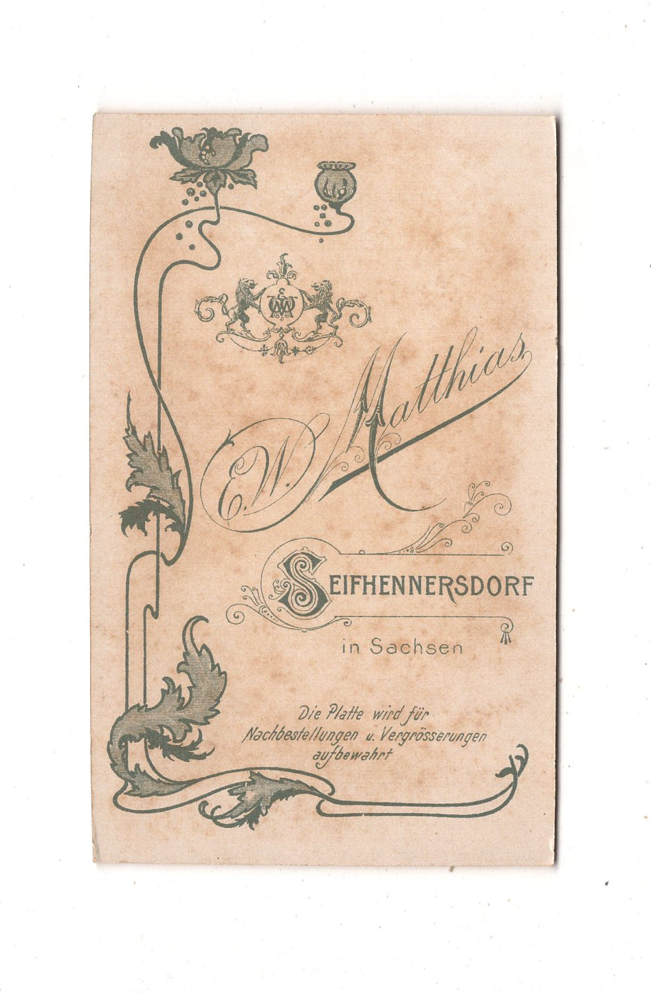 Fotografie Feine Dame - Seifhennersdorf um 1900 / CDV L1-25