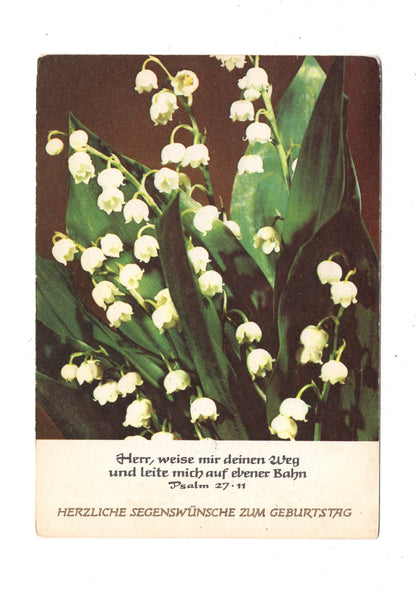 Ansichtskarte Glückwünsche / Glückwunsch zum Geburtstag / L1-58