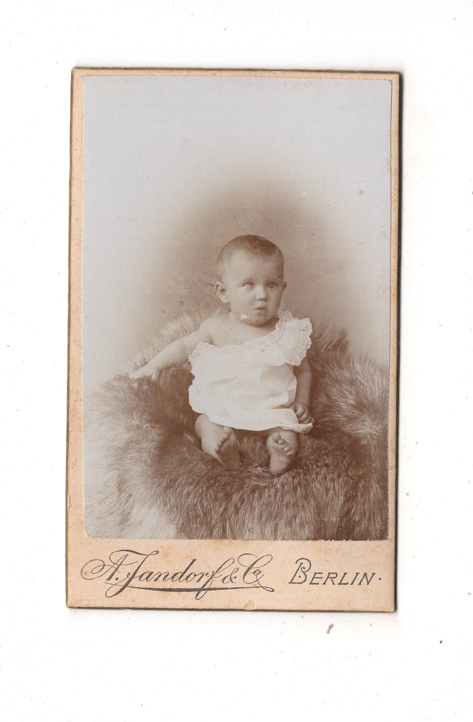 Fotografie Schönes Kinderbild / Baby - Berlin 1890er / CDV N1-10