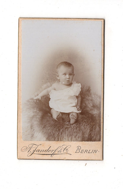 Fotografie Schönes Kinderbild / Baby - Berlin 1890er / CDV N1-10