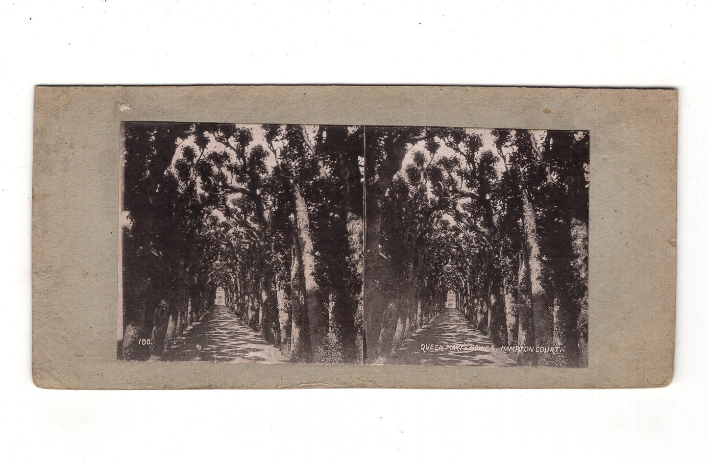 Fotografie Queen Mary´s Bower / Hampton Court / England