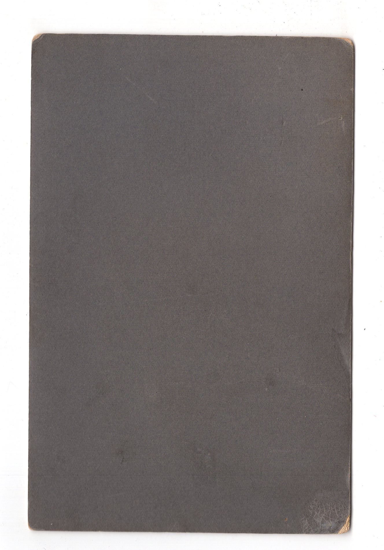 Fotografie Feine Dame - Hannover um 1900 / CAB W-25