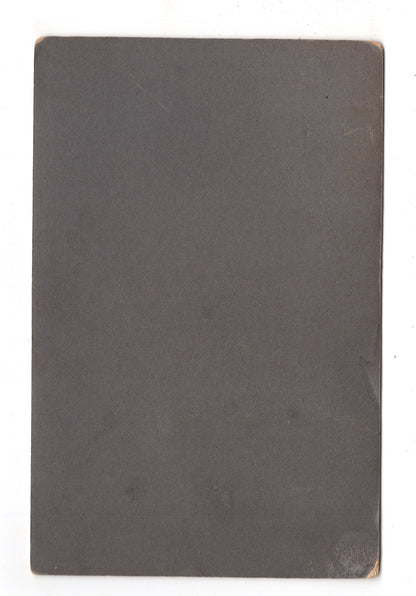 Fotografie Feine Dame - Hannover um 1900 / CAB W-25