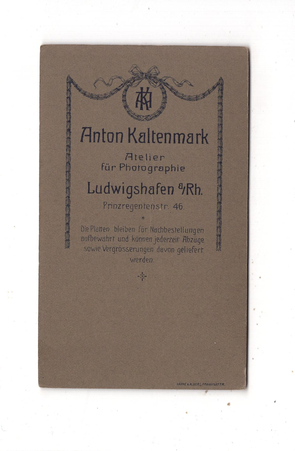 Fotografie Damenportrait - Ludwigshafen um 1900 / CDV N1-14