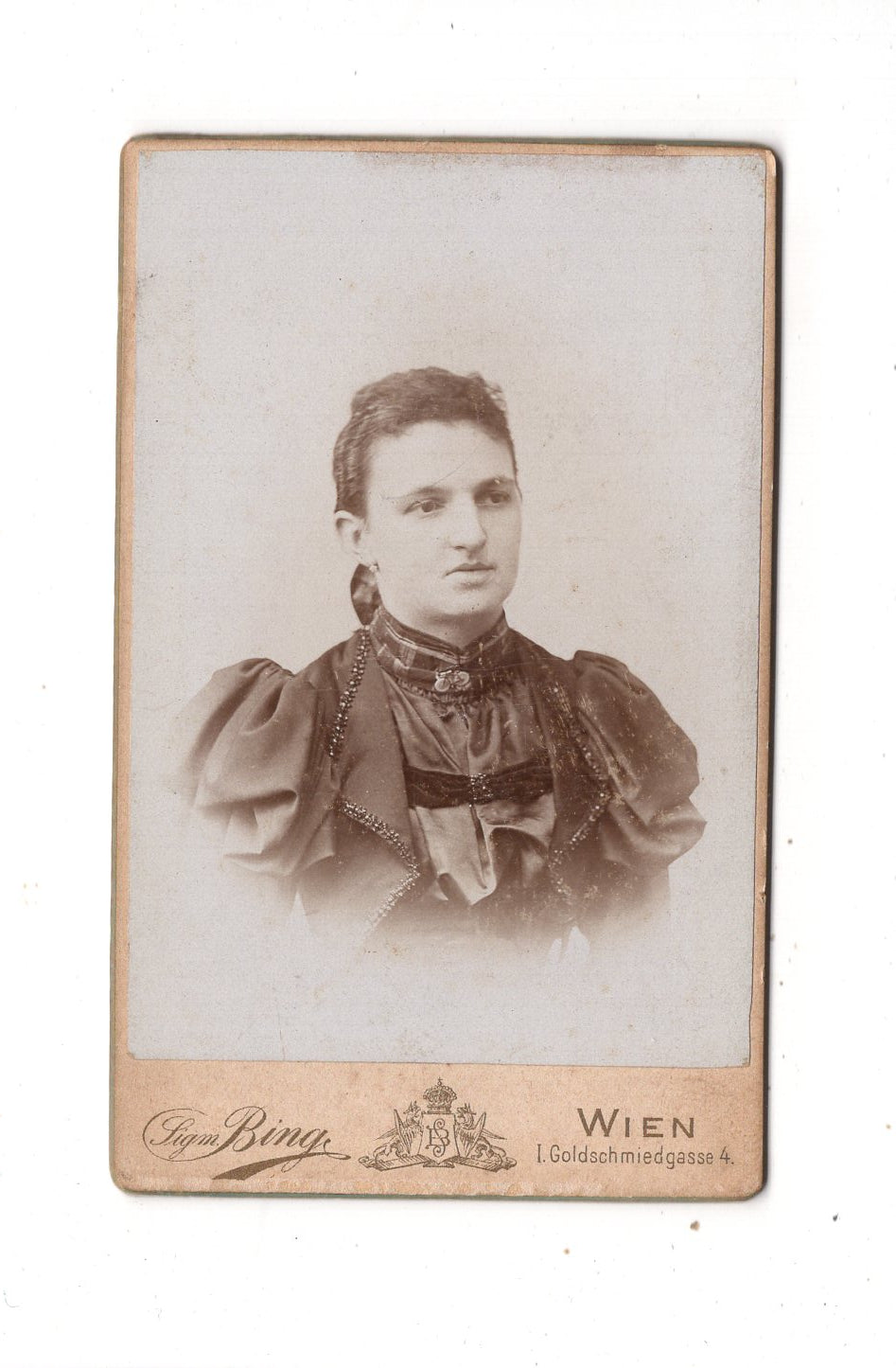 Fotografie Damenportrait - Wien 1890er / CDV N1-14