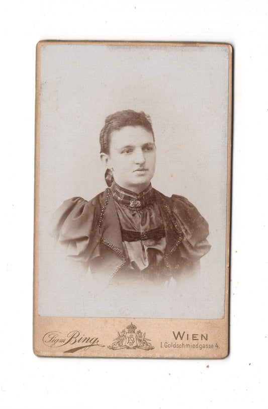 Fotografie Damenportrait - Wien 1890er / CDV N1-14