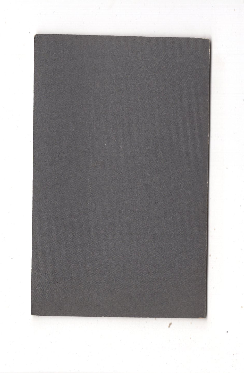 Fotografie Niedliches kleines Mädchen - Neustadt M. W. B. 1900er / CDV M1-27