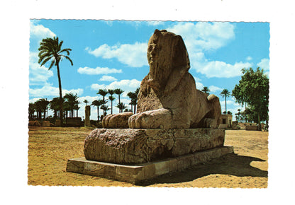 Ansichtskarte Memphis / Alabaster Sphinx / Ägypten