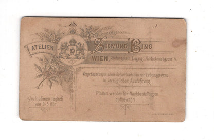 Fotografie Damenportrait - Wien 1890er / CDV N1-14