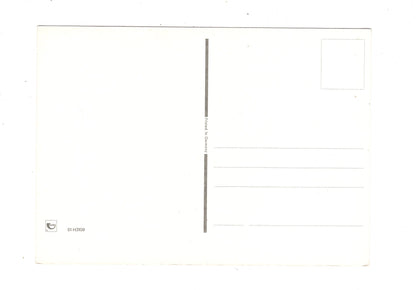 Ansichtskarte Glückwünsche / Glückwunsch zum Geburtstag / L1-58
