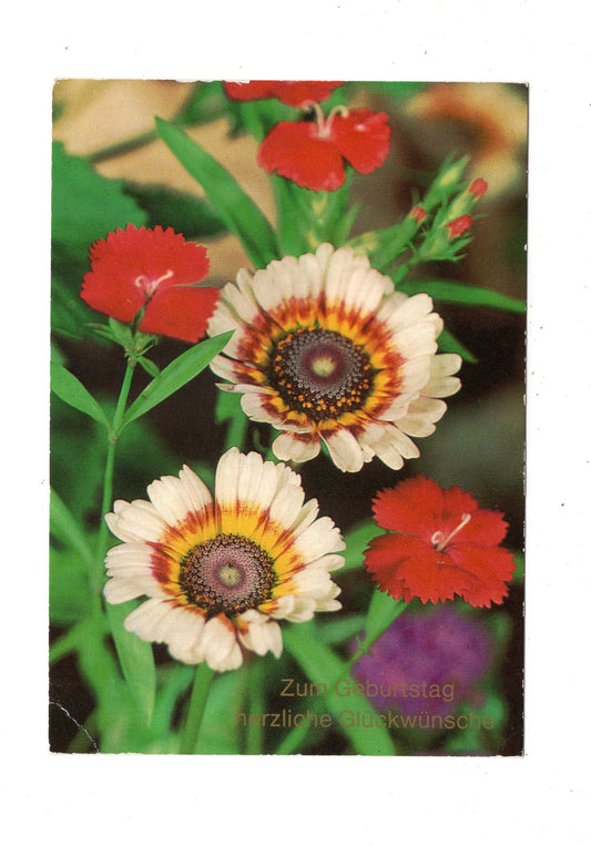 Ansichtskarte Glückwünsche / Glückwunsch zum Geburtstag / L1-58