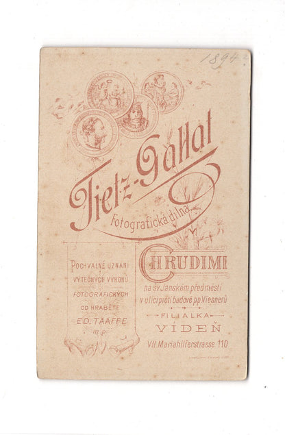 Fotografie Damenportrait - Chrudim / Viden 1890er / CDV C1-04