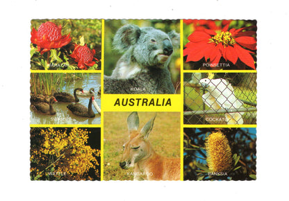 Ansichtskarte Australia / Australien