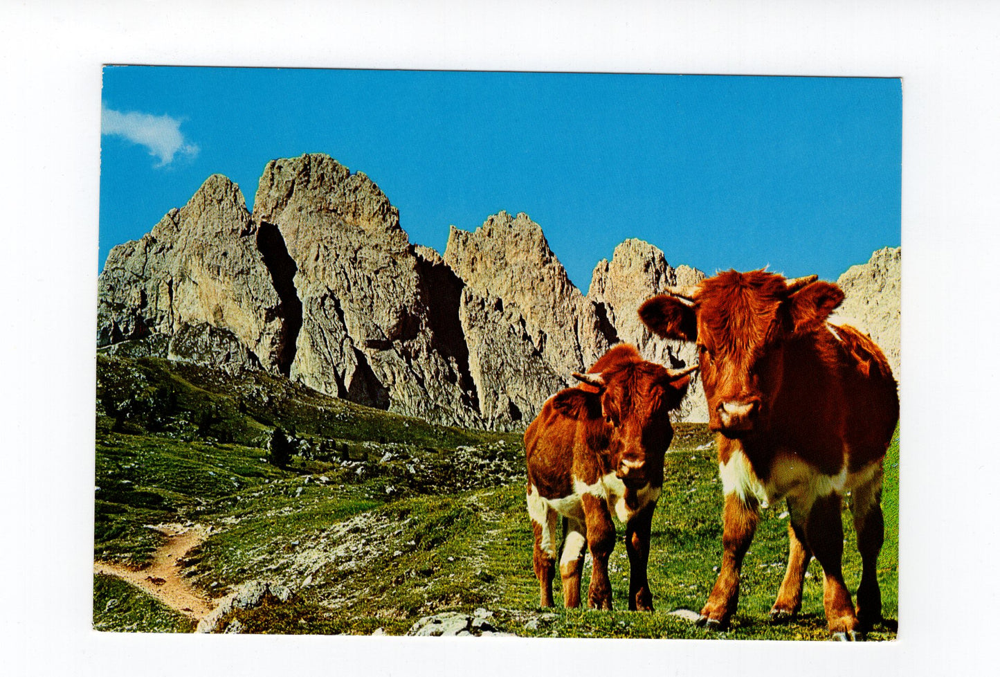 Ansichtskarte Dolomiten / Grödental / Fermeda Türme / Südtirol / Italien