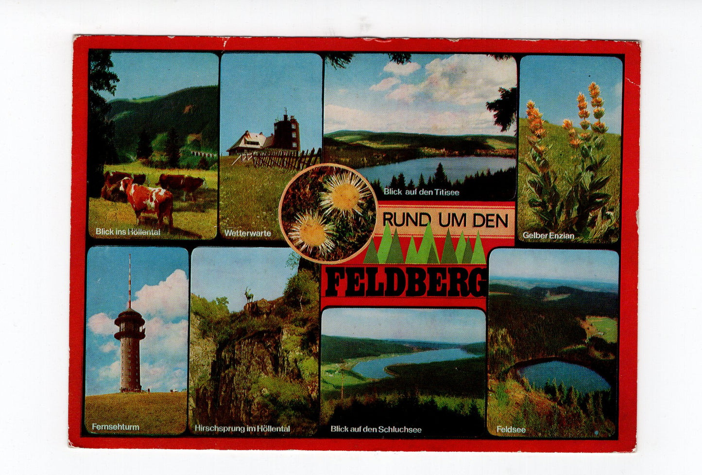 Ansichtskarte Rund um den Feldberg im Schwarzwald / Fernsehturm +++