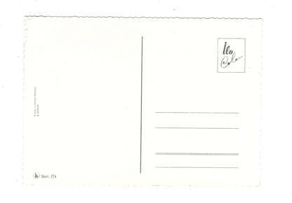 Ansichtskarte Glückwünsche / Glückwunsch zum Geburtstag / L1-58