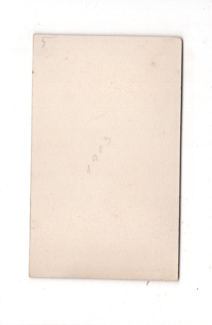Fotografie Feine Dame - Erfurt 1890er / CDV L1-25