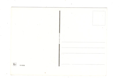 Ansichtskarte Glückwünsche / Glückwunsch zum Geburtstag / L1-58