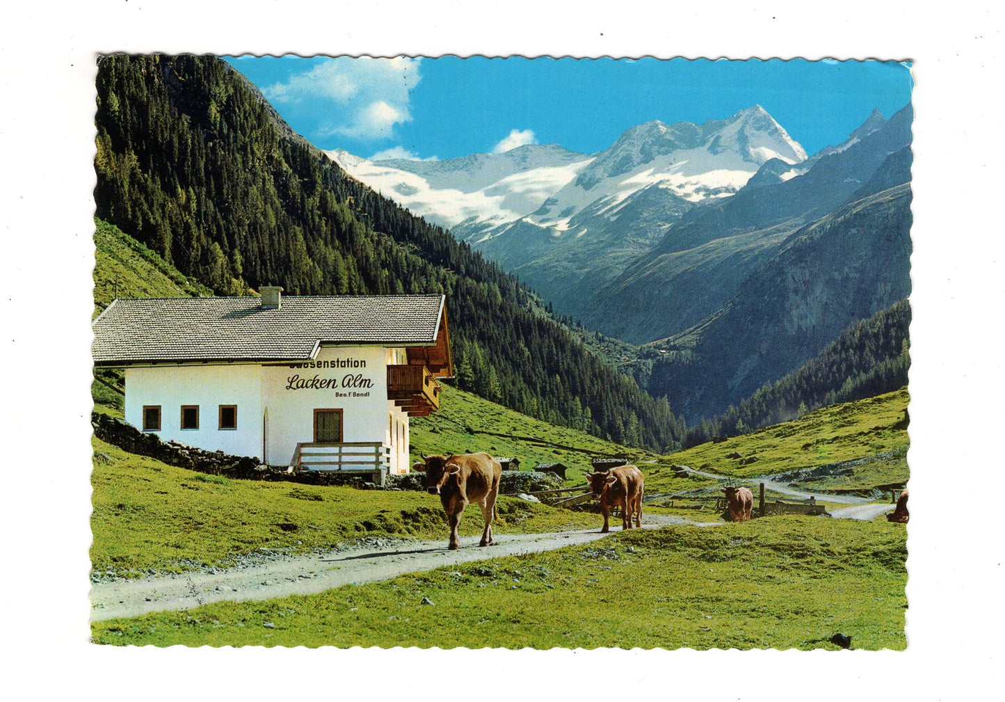 Ansichtskarte Jausenstation Lacken-Alm / Hochtal-Gerlos / Tirol / Österreich