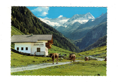 Ansichtskarte Jausenstation Lacken-Alm / Hochtal-Gerlos / Tirol / Österreich