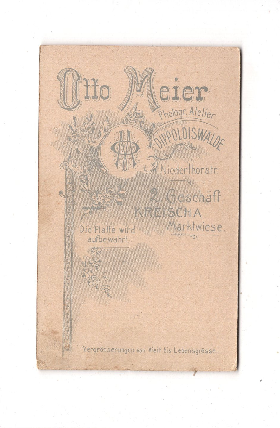 Fotografie Feines junges Mädchen - Dippoldiswalde / Kreischa um 1900 / CDV L1-26