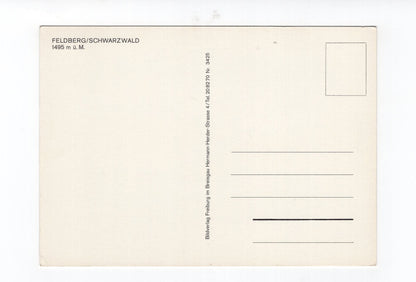 Ansichtskarte Feldberg / Schwarzwald