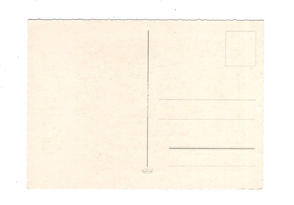 Ansichtskarte Glückwünsche / Glückwunsch zum Geburtstag / L1-58