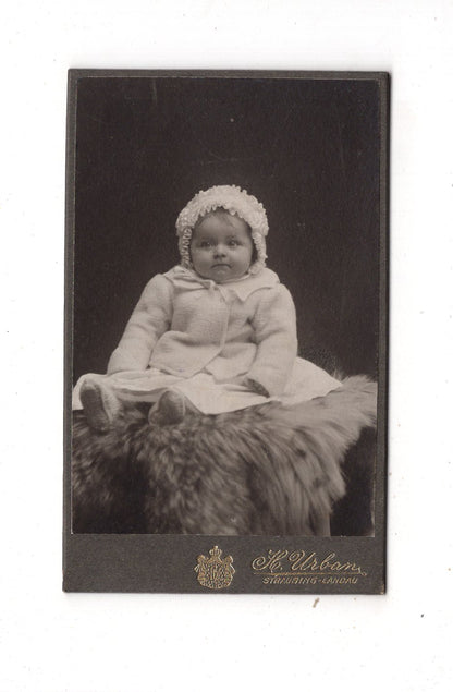 Fotografie Schönes Kinderbild / Baby - Straubing-Landau 1911 / CDV N1-10