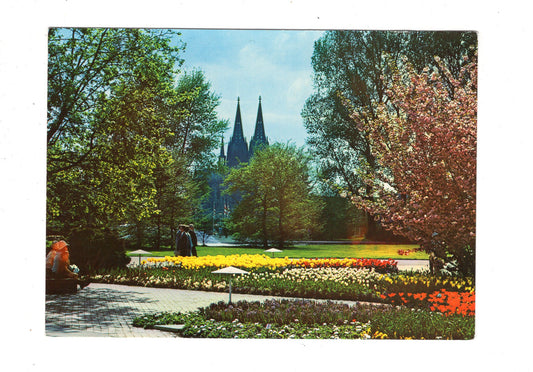 Ansichtskarte Köln am Rhein / Rheinpark und Dom / M1-64
